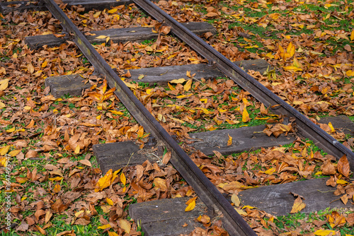 Wallpaper Mural Selective focus on railroad tracks in an autumn landscape. Torontodigital.ca