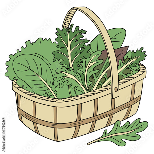 A woven basket overflowing with a variety of fresh green leafy salad vegetables