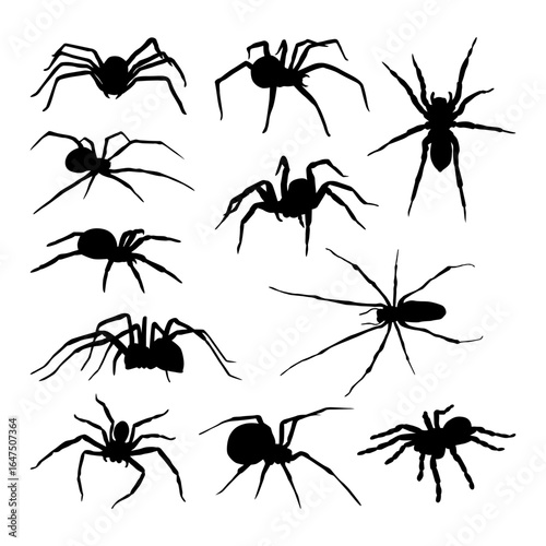 set of different spider silhouettes