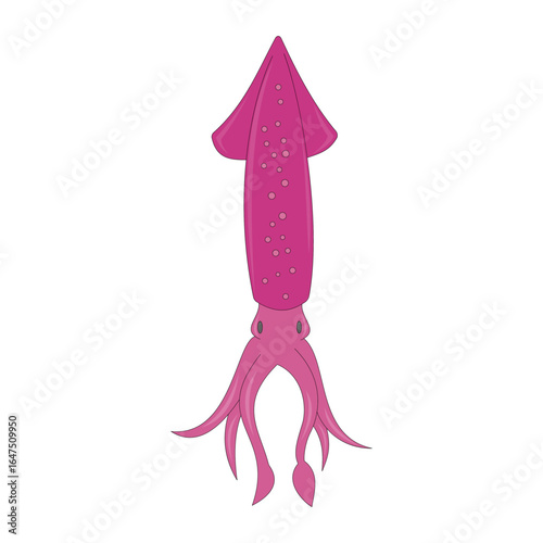 Purple squid. Animal theme. Marine life. Aquatic animals. Mollusks. Vector illustration