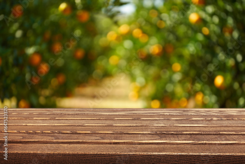 Картината върху платно Wooden table in an orange grove with blurred trees and fruit in the background d