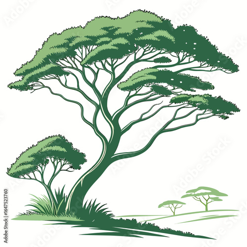 An airy evergreen tree with spacious branches. This simple and elegant illustration is perfect for modern, minimalist, and clean holiday designs that feel light and open.