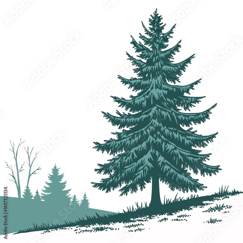 A beautiful blue spruce evergreen tree, isolated on a clean background. This stunning and realistic illustration is perfect for classic nature and holiday designs.