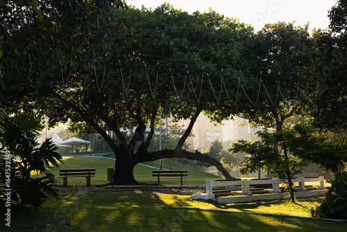 sunset in the park of Cocó in the city of Fortaleza brazil