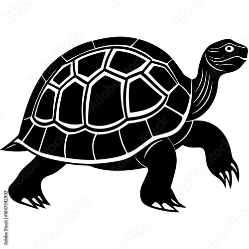  gal pagos tortoise silhouette animal
