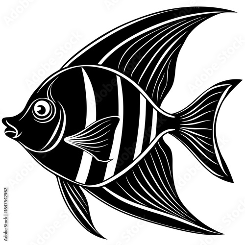  angelfish victor black animal