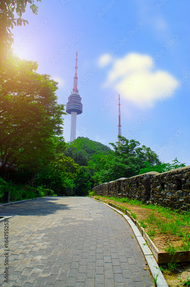 Obraz premium The summer forest view of Seoul Tower