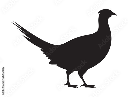 very simple flat and minimalist Pheasant. Vector black silhouette. with white background