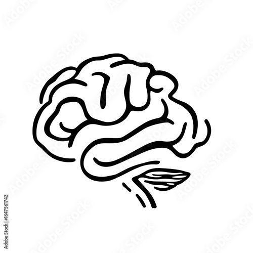Vector illustration of the human brain's anatomy, a symbol of intelligence and cerebral power