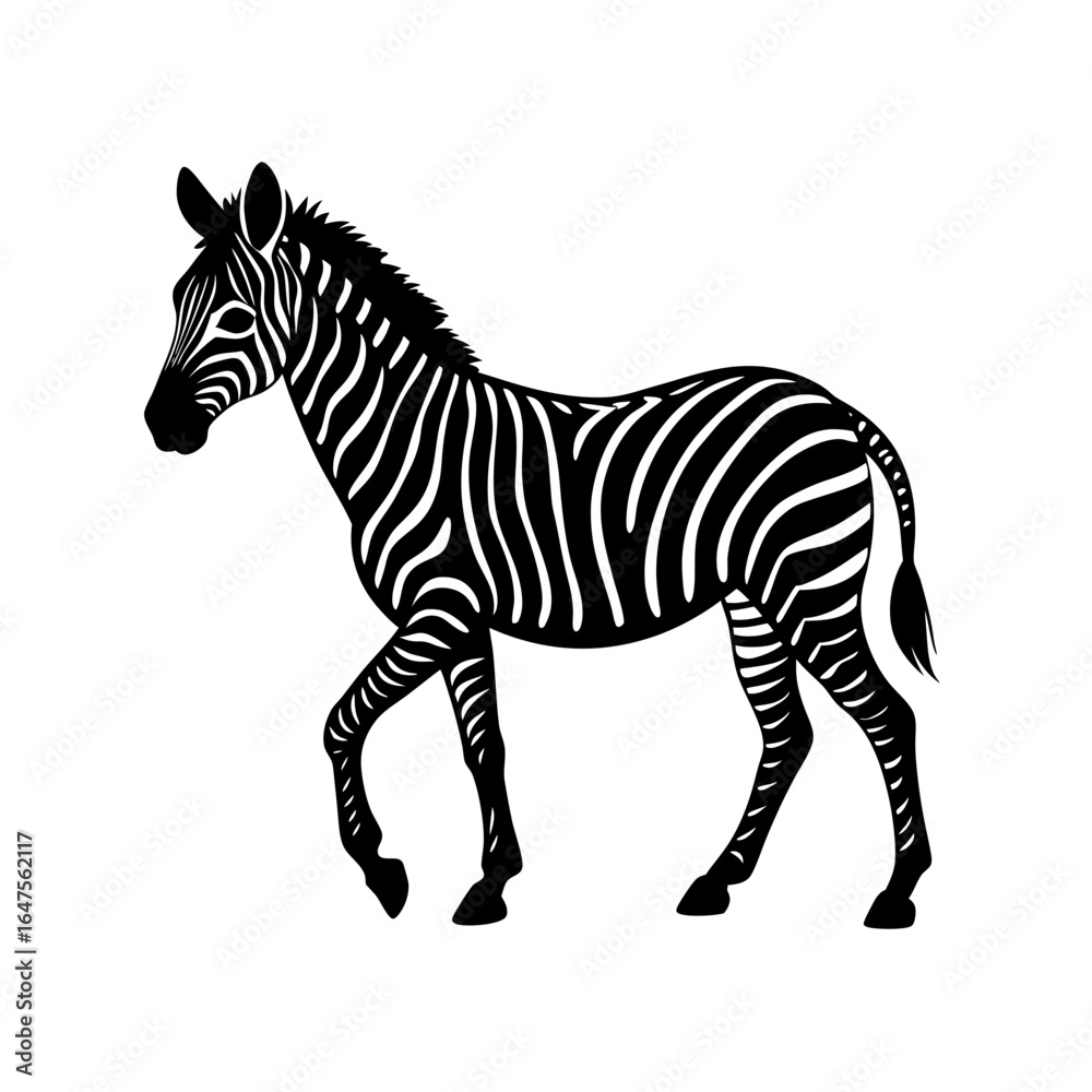 Fototapeta premium vector silhouette of a zebra walking on white back