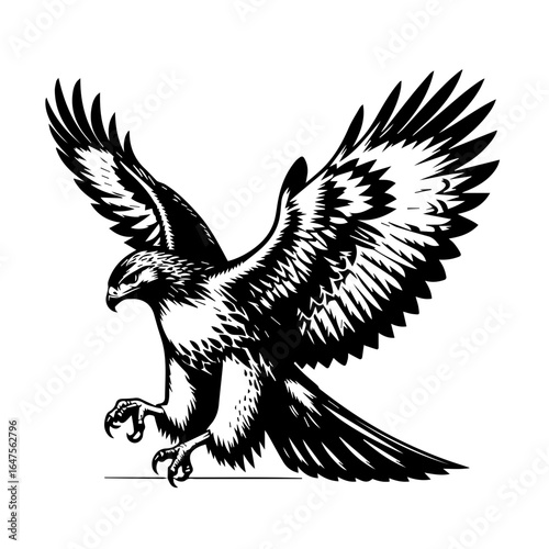 Majestic Eagle with Spread Wings Vector Illustration.