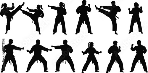 Martial arts silhouette, karate pose, taekwondo kick, self defense training, fighter stance, combat moves, black belt action, sports illustration