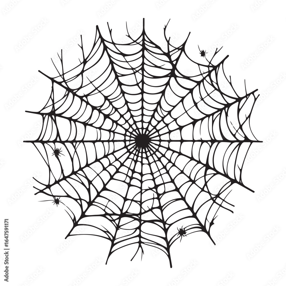 Obraz premium Hand Drawn Cobweb Collection