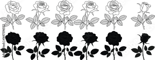 Six black silhouette and outline rose flowers with leaves  black and white
