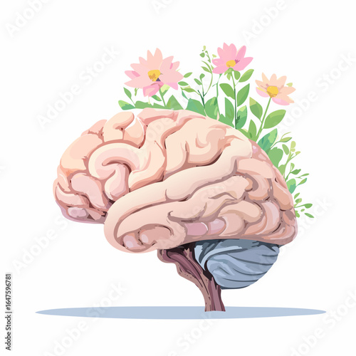 Human brain anatomy illustration showing detailed structure and parts of the brain in a medical science concept