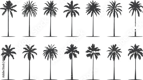 Palm Tree Silhouette Set Tropical Paradise Exotic Island Beach Vacation Getaway