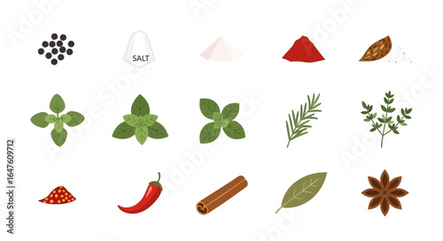 Colorful flat vector icon set of various culinary spices and fresh herbs for cooking.
