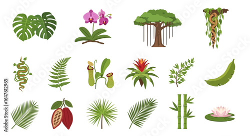 Set of Colorful Tropical Jungle Flora and Fauna Illustrations