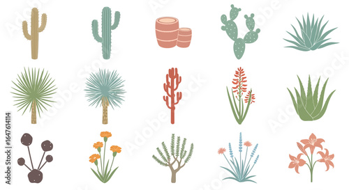 Stylized collection of desert plants, cacti, and flora illustrations in a muted boho palette.