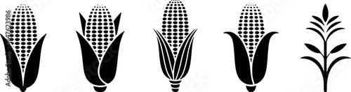 Black corn stalks and plant stem maize food vector