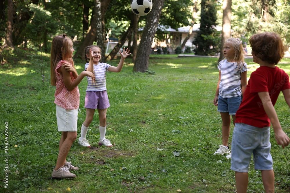 Fototapeta premium Cute little kids playing with soccer ball in park