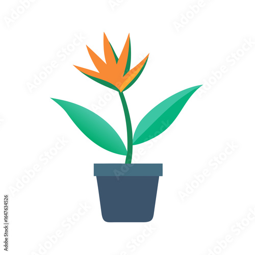 Bird of paradise flower in pot illustration on black background