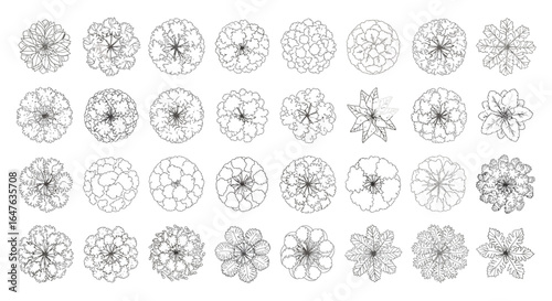Detailed top-down tree illustrations for architectural plans, landscaping designs, and urban planning projects