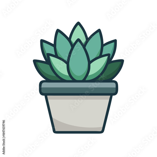 Isolated vector succulent illustration in a pot on a black background