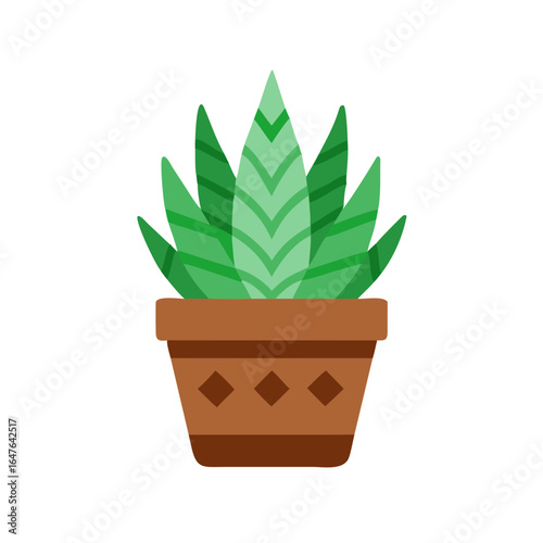 Potted succulent plant on black background, simple flat design botanical illustration