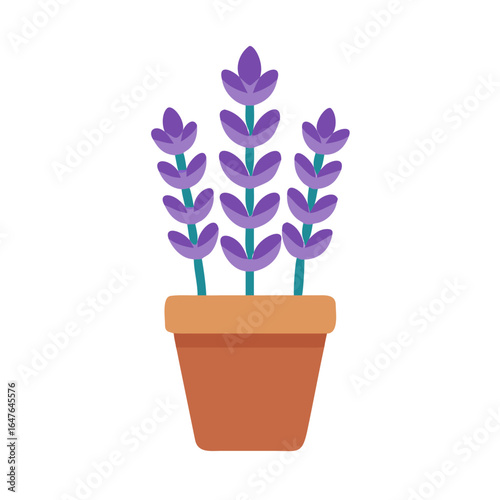 Flat vector illustration of purple lavender plant in brown terracotta pot against black