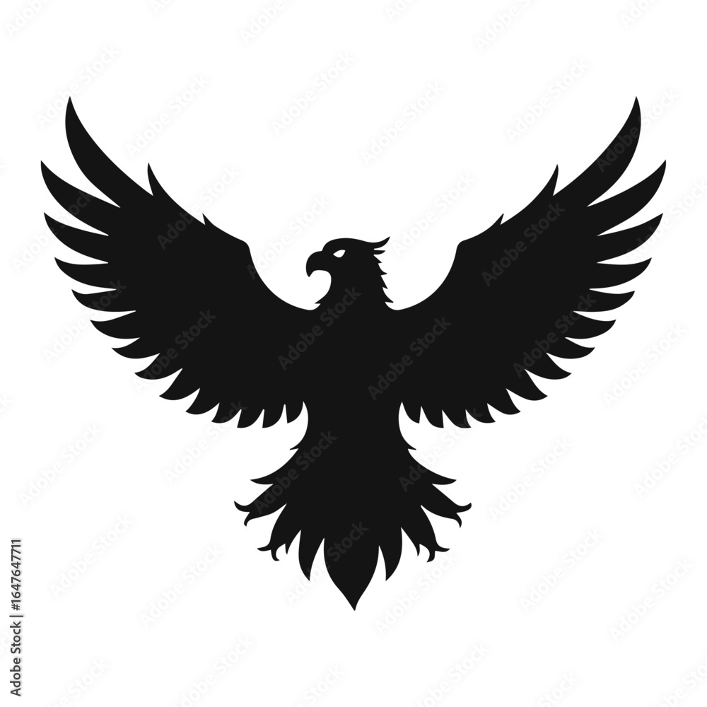 Obraz premium eagle with wings