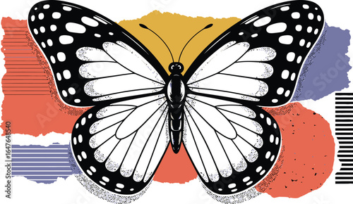 Monarch butterfly vector illustration, isolated on a white background with orange and black wings