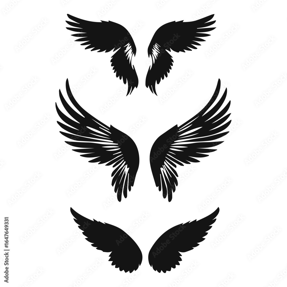 set of vector wings set of vector wings