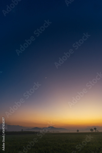 blue Hour before the sunrise sky in the morning over rice field