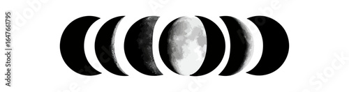 Moon phases illustration gray scale
