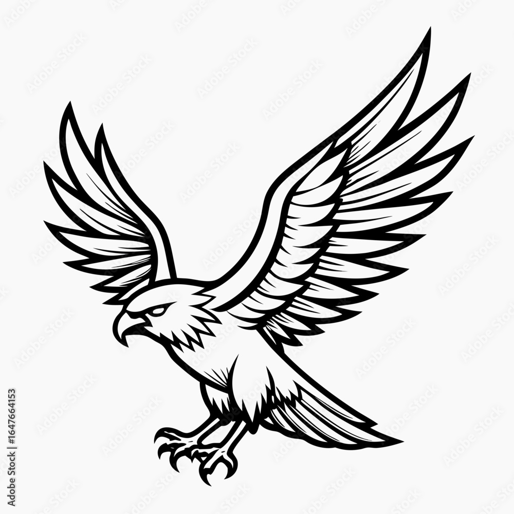 Fototapeta premium eagle in flight