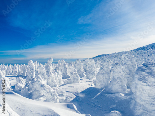Fotografía 山形蔵王の樹氷原