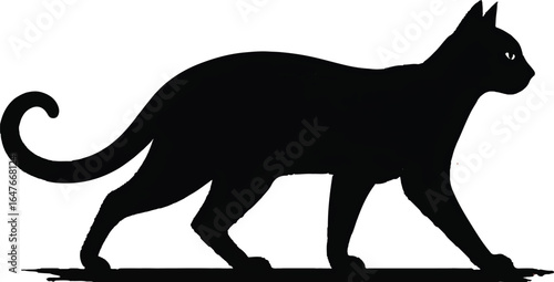 Black cat walking silhouette feline animal