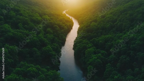 Serene River Flows Through Lush Forest at Golden Hour: Aerial Drone Shot