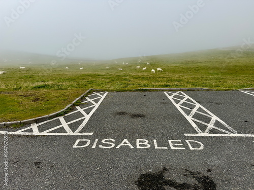 Disabled bay has been marked out on tarmac .Situated in wild area with sheep and fog in background.Dramatic.Accessibility