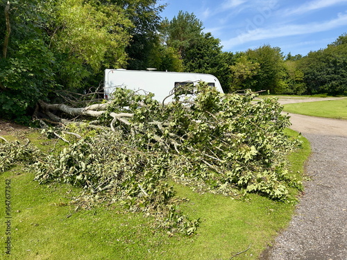 After a storm a tree has fallen dangerously close to a caravan .Extreme Weather