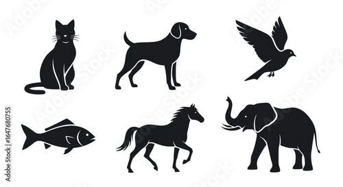Silhouetted animals including a cat, dog, bird, fish, horse, and elephant in a graphic illustration.