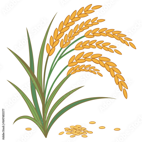 Golden paddy stalks and harvested grains are artistically arranged on a transparent background