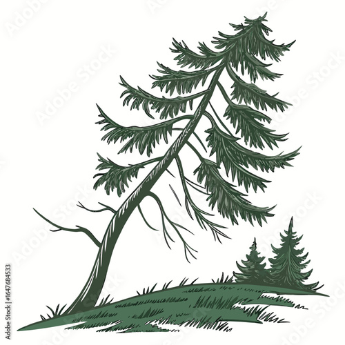 A drooping evergreen tree with a downward motion. This unique and emotional image is perfect for designs that need to convey a sense of sadness, grace, or a gentle, soft feeling.