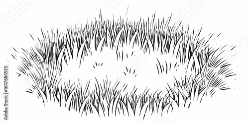 Vector illustration of a patch of grass with detailed line work and a white background creating a natural scene