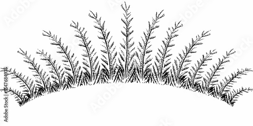 Vector a black and white illustration of a semi circle of grass with thin stems and leaves pointing up