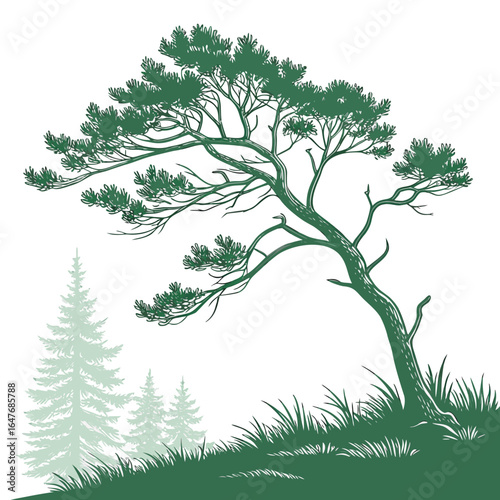 A fine evergreen tree with a delicate appeal. This elegant and gentle image is perfect for designs that need to convey a sense of grace, subtlety, and refined beauty.