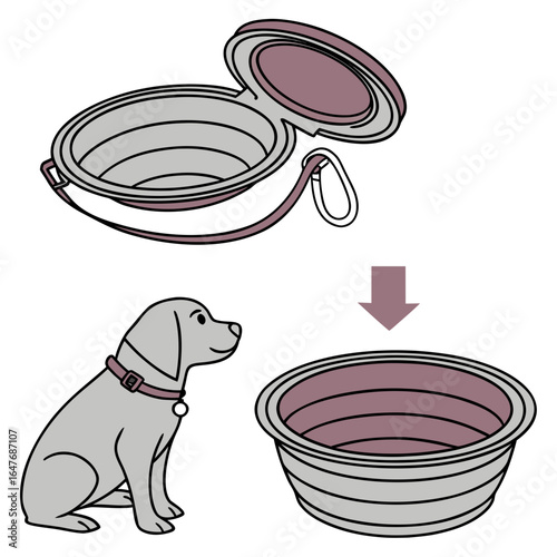 Dog and collapsible pet bowl travel