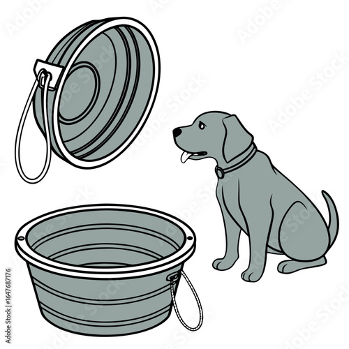 Gray dog sitting near collapsible pet bowls animal