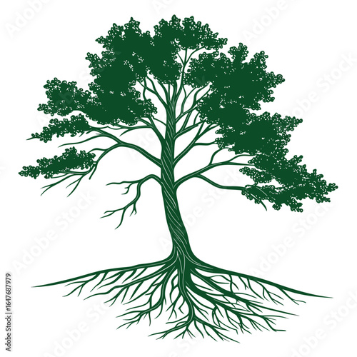 A healthy Christmas tree with vigorous roots. This beautiful image is perfect for designs focused on nature, growth, sustainability, and the organic side of the holiday season.